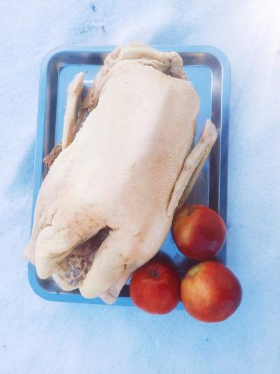 Гусь домашний (замороженный), кг (вес 3-5 кг), СПЕЦЦЕНА 820р/кг