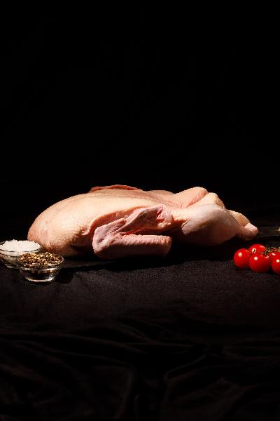 Домашняя утка